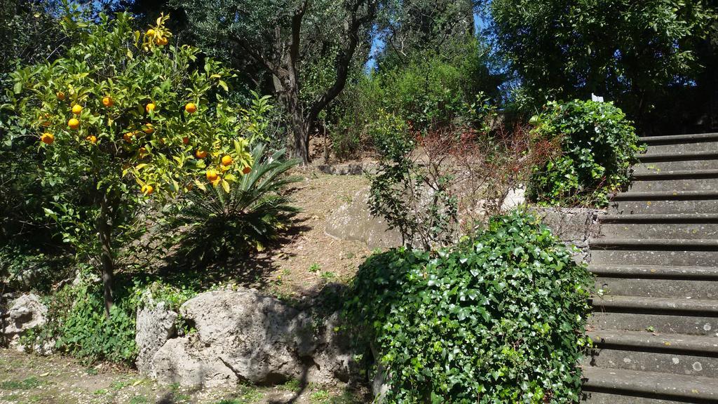 La Dolce Casetta Grottaferrata Eksteriør billede