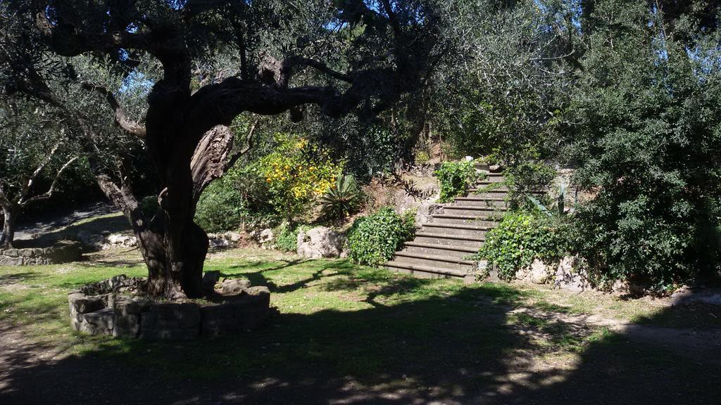 La Dolce Casetta Grottaferrata Eksteriør billede